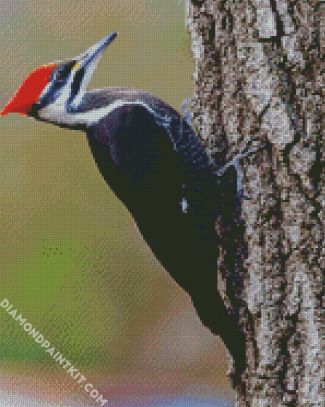 Aesthetic Woodpecker diamond painting