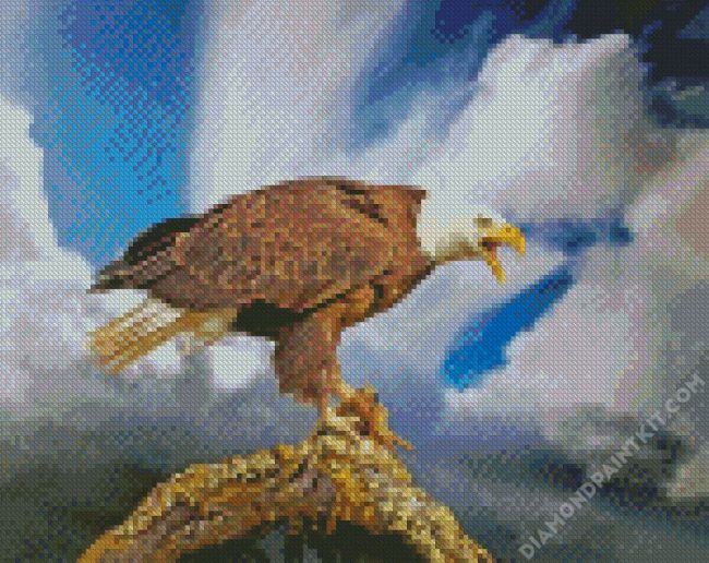 Aesthetic Bald Eagle diamond painting