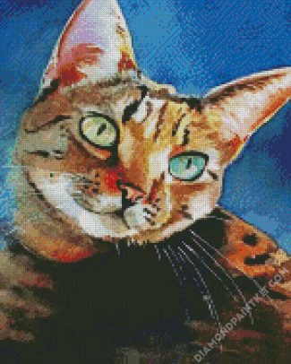 Aesthetic Cat diamond painting