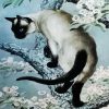 Aesthetic Siamese Art Cat diamond painting