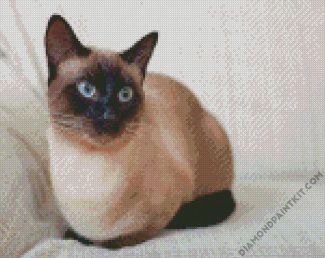 Aesthetic Siamese Cat diamond painting