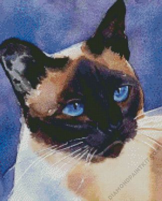 Aesthetic Siamese Cat Illustration diamond painting