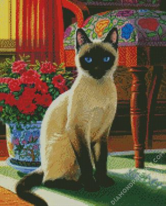 Aesthetic Siamese Kitty diamond painting