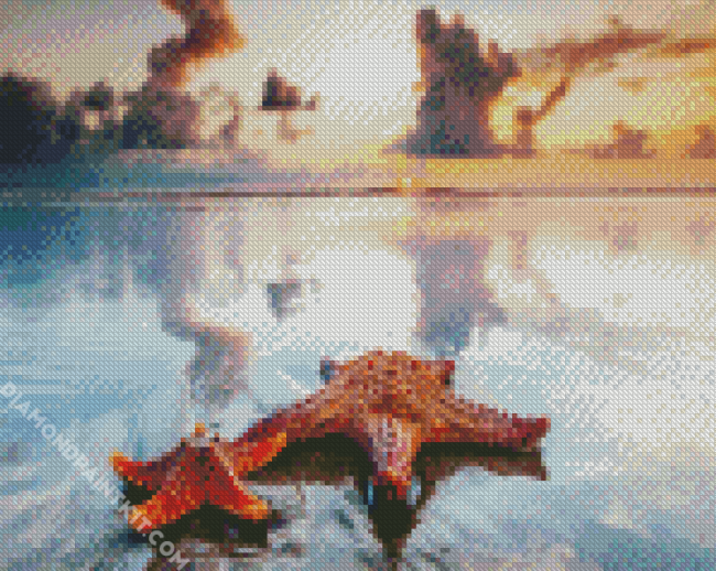 Aesthetic Starfishes Sunset diamond painting