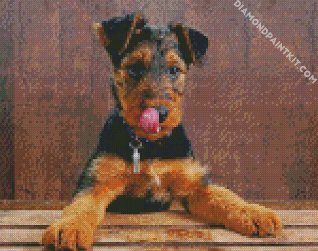 Airedale Terrier Dog diamond painting