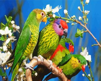 Beautiful Birds diamond painting