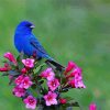 Beautiful Blue Bird And Flowers diamond painting