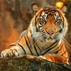 Bengal Tiger Animal diamond painting
