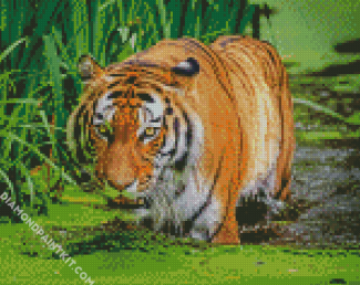 Bengal Tiger In The Water diamond painting