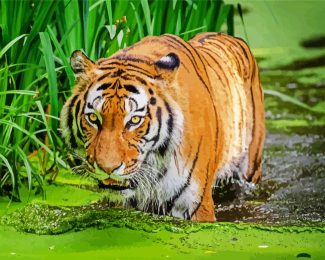 Bengal Tiger In The Water diamond painting