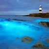 Bioluminescent Waves Anglesey diamond painting