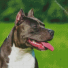 Black American Staffordshire Terrier diamond painting