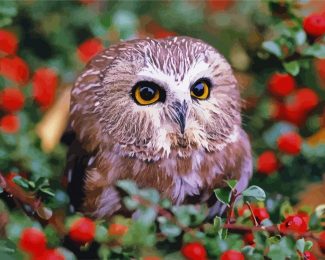 Cute Owl diamond painting