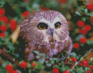 Cute Owl diamond painting