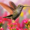 Flying Beautiful Hummingbird diamond painting