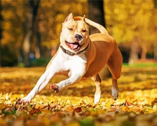 Golden American Staffordshire Terrier Dogs diamond painting