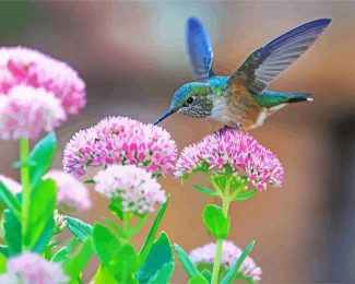 Hummingbird And Flowers diamond painting