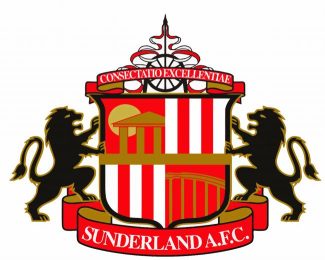 Logo Sunderland AFC diamond painting