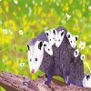 Opossum family diamond painting