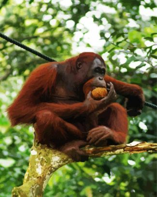Orangutan Monkey On A Tree diamond painting