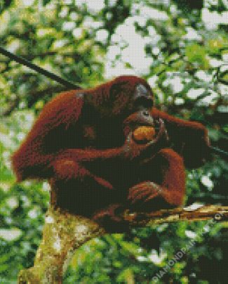 Orangutan Monkey On A Tree diamond painting