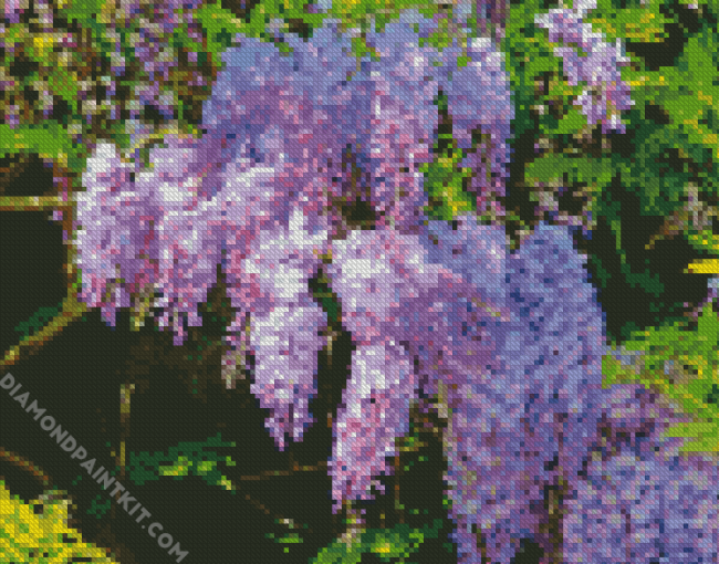 Purple Flowers Wisteria diamond painting