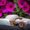 Python Snake And Petunia Flowers diamond painting