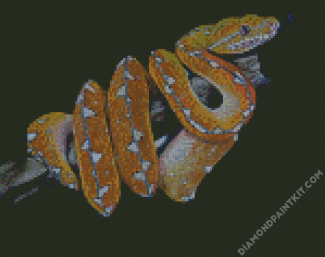 Python Snake diamond painting
