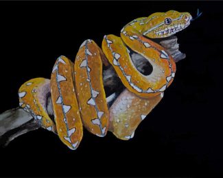 Python Snake diamond painting