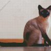 Siamese Cat Animal diamond painting