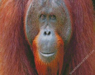 Smiling Orangutan diamond painting