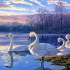 Swans On Lake diamond painting