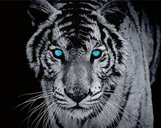 Tiger With Blue Eyes diamond painting