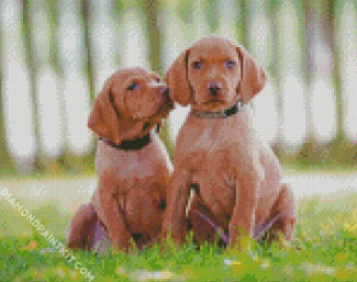 Vizsla Puppies Dogs diamond painting