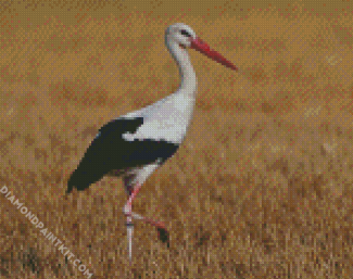 White Stork Bird diamond painting