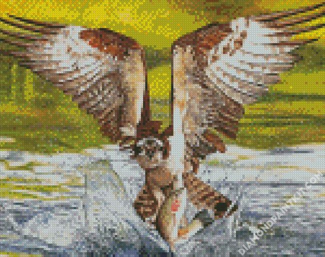Osprey Bird Hunting diamond painting