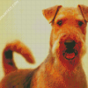 Airedale Terrier Animal diamond painting