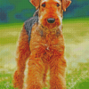 Airedale Terrier Brown Dog diamond painting