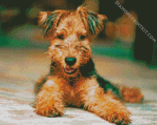 Airedale Terrier diamond painting