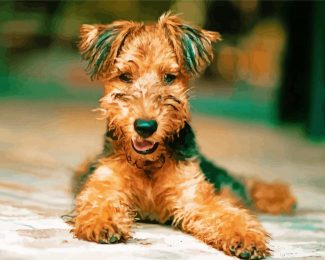 Airedale Terrier diamond painting