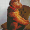 Airedale Terrier Sitting diamond painting
