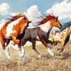 American Paint Horses diamond painting