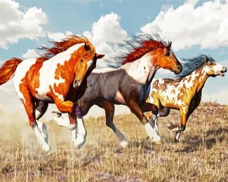 American Paint Horses diamond painting