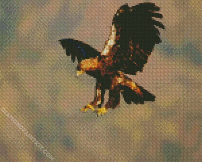 Aquila Eagle Bird diamond painting