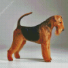 Black And Brown Airedale Terrier diamond painting