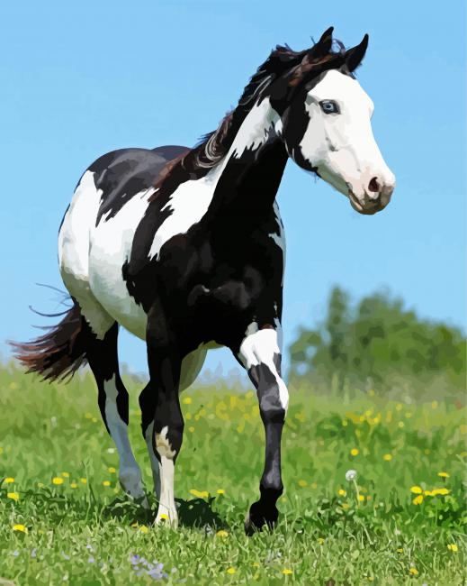 Black And White American Paint Horse - 5D Diamond Painting 