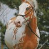 Blonde Paint Horse diamond painting