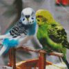 Blue And Green Parakeet Budgerigars diamond painting