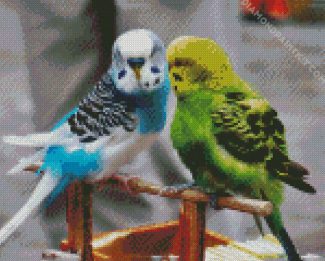 Blue And Green Parakeet Budgerigars diamond painting