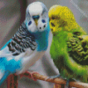 Blue And Green Parakeets diamond painting